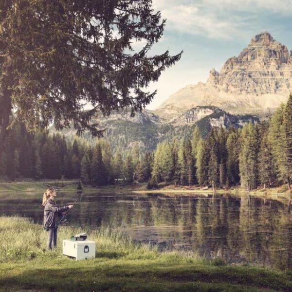 Dometic Cool-Ice 42L - Imagen 8